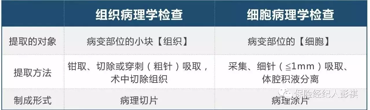 理赔 | 恶性肿瘤知识图谱及理赔实务