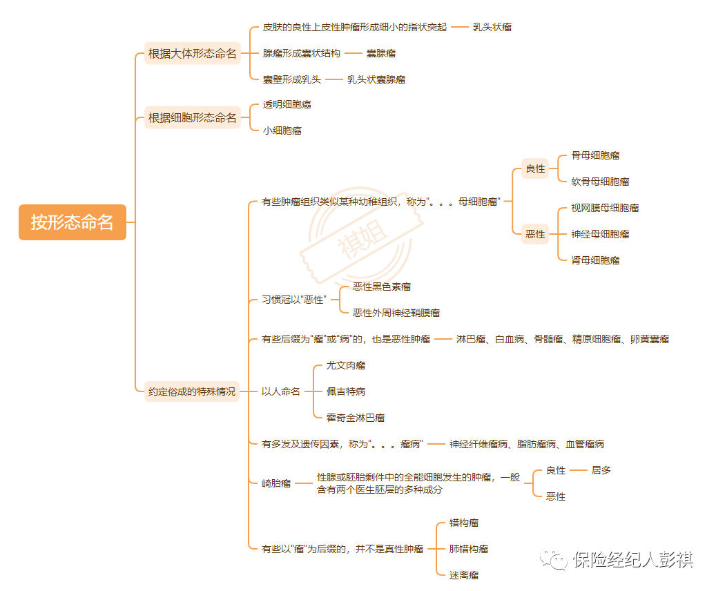 理赔 | 恶性肿瘤知识图谱及理赔实务