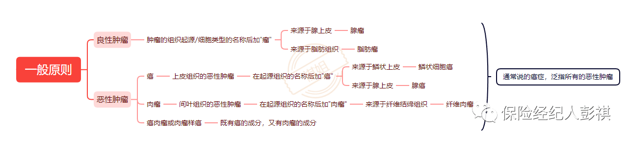 理赔 | 恶性肿瘤知识图谱及理赔实务