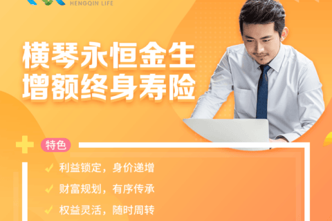 横琴永恒金生增额终身寿险-保险超市