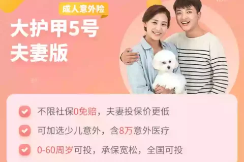 太平洋保险大护甲5号成人意外险(夫妻版)-保险超市