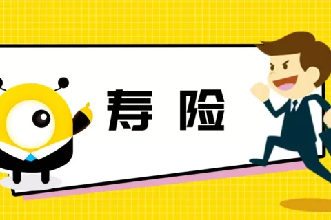 6月定期寿险榜单 | 守护家庭经济支柱!-保险超市