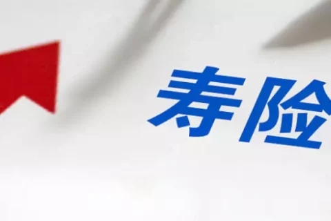 定期寿险,地表最性价比的好产品真的是华贵大麦旗舰版吗-保险超市