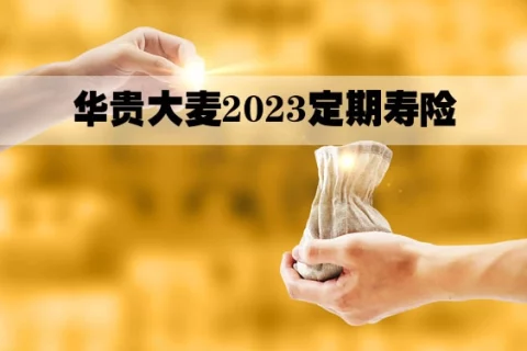 华贵大麦旗舰版A款定期寿险(互联网专属)-保险超市