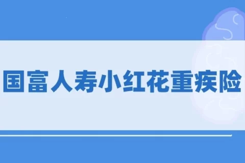国富小红花致夏版重疾险-保险超市