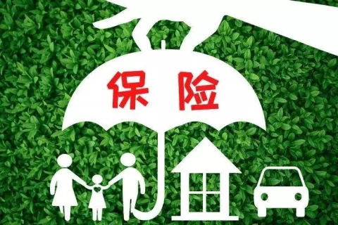 买完保险≠万事大吉,这几件事一定要注意!-保险超市
