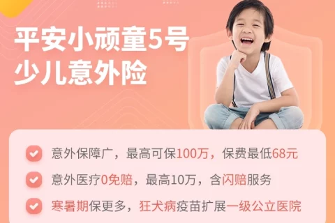 平安小顽童5号少儿意外险-保险超市