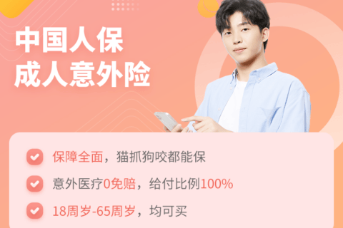 中国人保成人意外险-保险超市