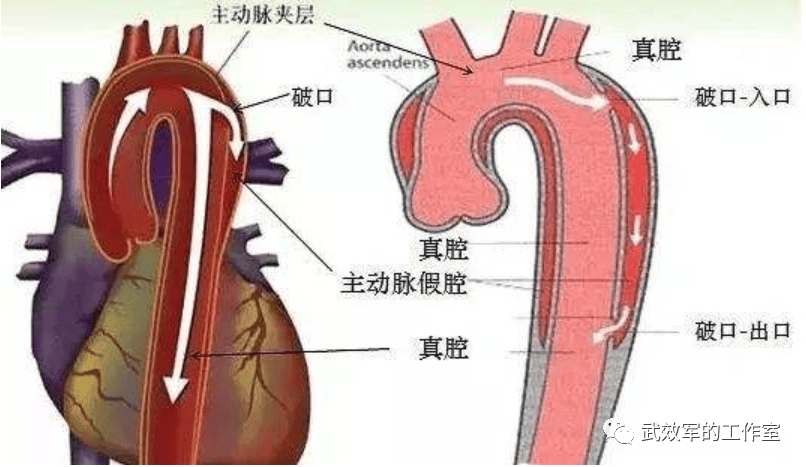 阳光人寿你经营的就是风险，但是却不核实风险！