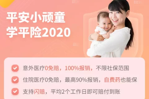 平安小顽童学平险2020-保险超市