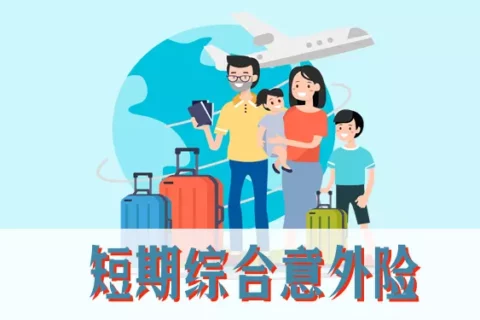 平安护星福短期意外险-保险超市