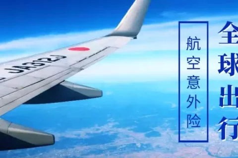 太平洋“慧飞行”航空意外险全年计划-保险超市