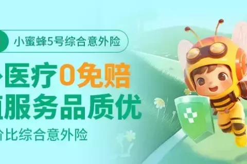 太平洋小蜜蜂5号综合意外险-保险超市