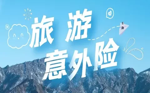 太平洋保险畅意玩2号境内旅游险-保险超市