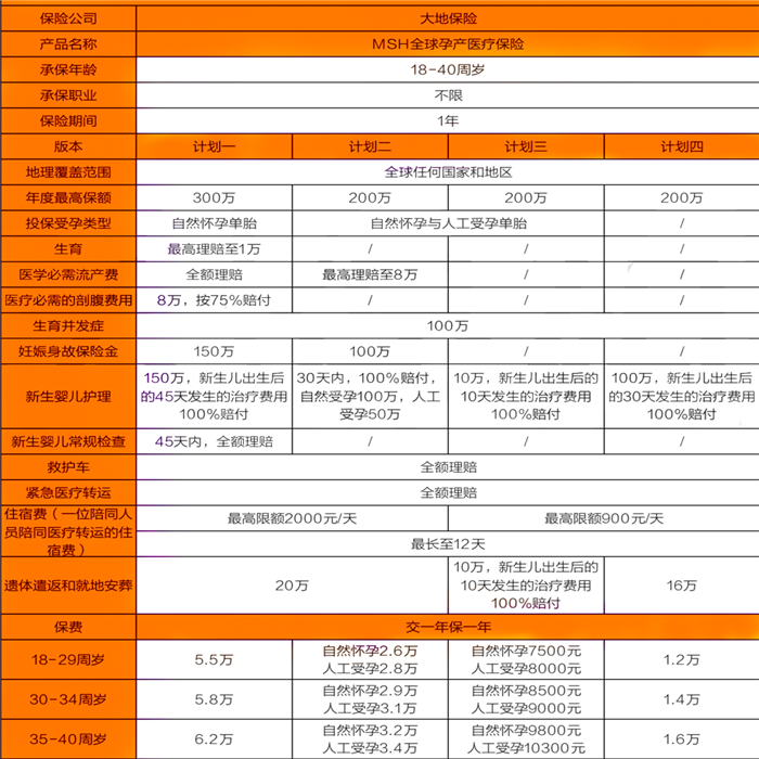 大地MSH全球孕产医疗保险